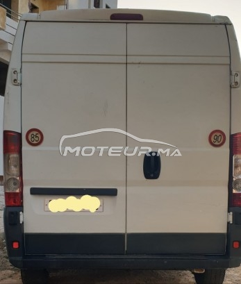 بيجو بوكسير Forgon مستعملة 1669245