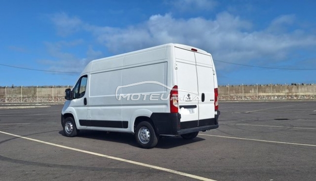 بيجو بوكسير مستعملة 1838330