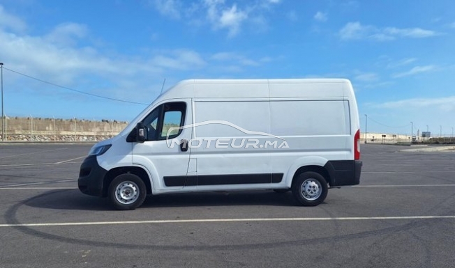 بيجو بوكسير مستعملة 1838329