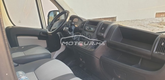 بيجو بوكسير Forgon مستعملة 1669247