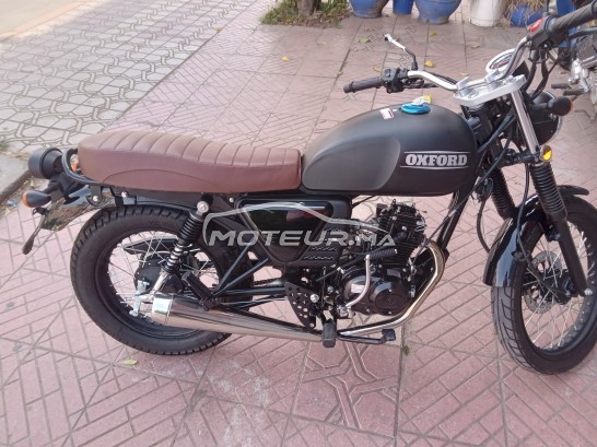 Moto au Maroc PHOENIX Classic 50 - 390519