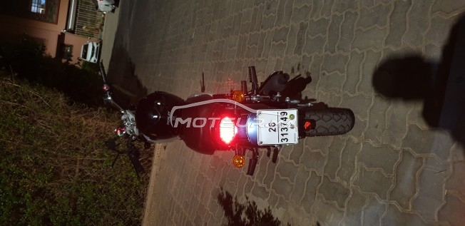 PHOENIX Classic 50 2022 occasion  1830379