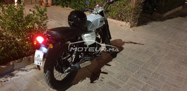 PHOENIX Classic 50 2022 occasion  1830378