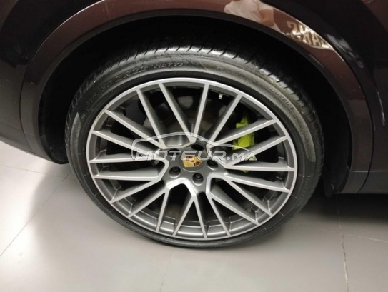 بورش كاييني مستعملة 3473493