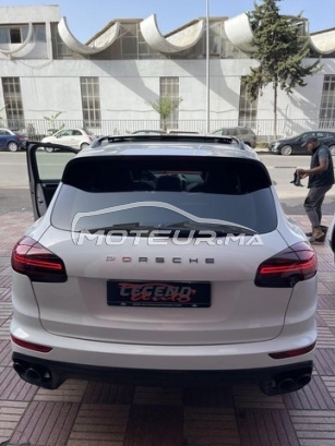 بورش كاييني مستعملة 1558912