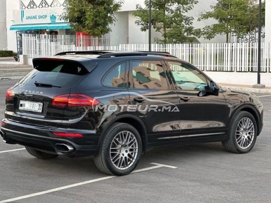 بورش كاييني مستعملة 1811786