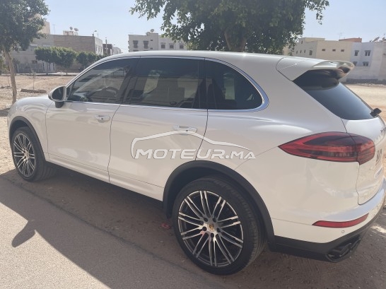 بورش كاييني مستعملة 1358405