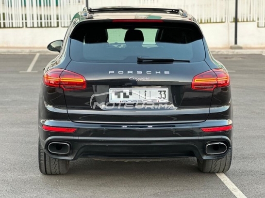 بورش كاييني مستعملة 1811788