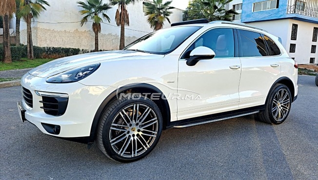 بورش كاييني مستعملة 1647334