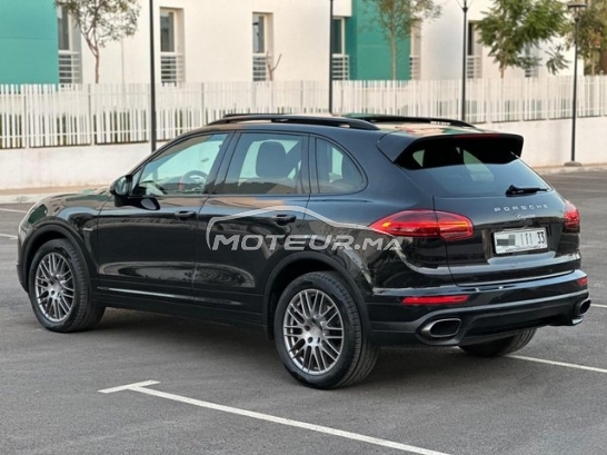 بورش كاييني مستعملة 1811785