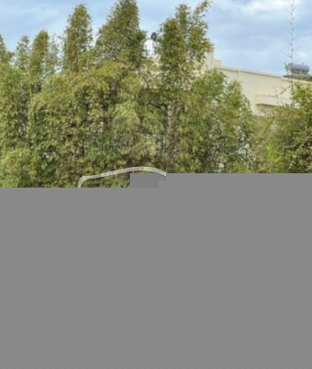 رونو كليو Automatique 2019 intens❣️ مستعملة 3125032