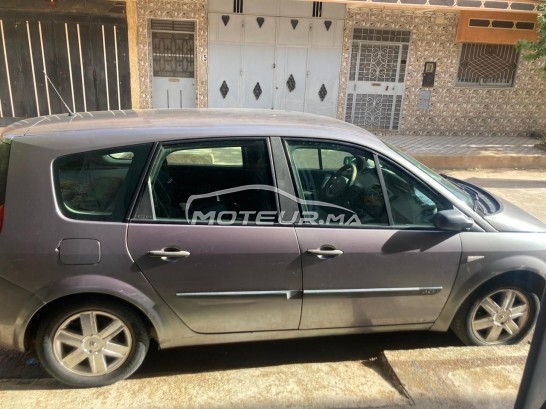 رونو سسينيك مستعملة 1767735