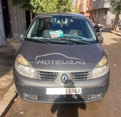 رونو سسينيك مستعملة 1767845