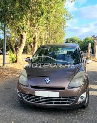 رونو سسينيك Dci مستعملة 1665629