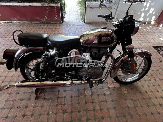 رويال-ينفييلد بوليت 500 كلاسيك Chrome مستعملة 2682335