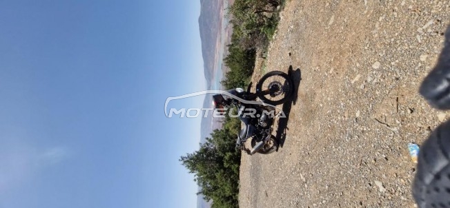 رويال-ينفييلد هيمالايان 411 model 2023 مستعملة 2516984