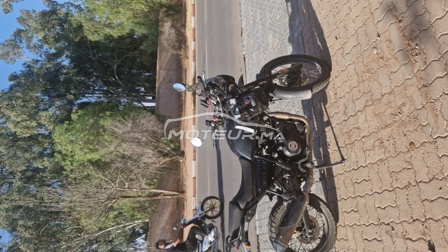 رويال-ينفييلد هيمالايان 411 model 2023 مستعملة 2516982