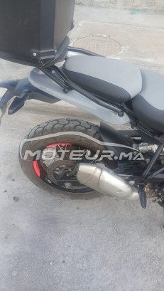 رويال-ينفييلد هيمالايان Himalayan 452 مستعملة 2794748