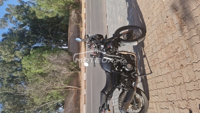 رويال-ينفييلد هيمالايان 411 model 2023 مستعملة 2516983