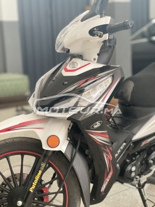 سانيا فيكي ر1000 R1000 مستعملة 1450229