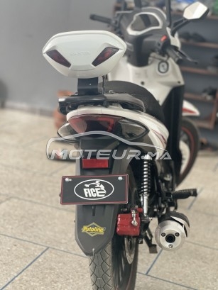 سانيا فيكي ر1000 R1000 مستعملة 1450230