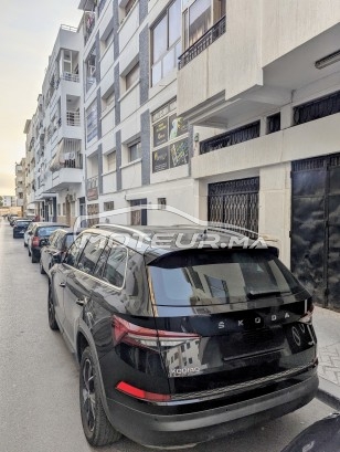 سكودا كودياكي Business مستعملة 2882736