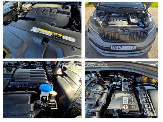 سكودا كودياكي Sportline مستعملة 2890955