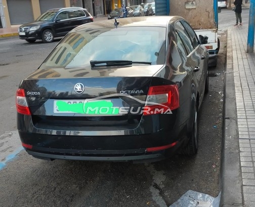 سكودا وكتافيا مستعملة 1728618