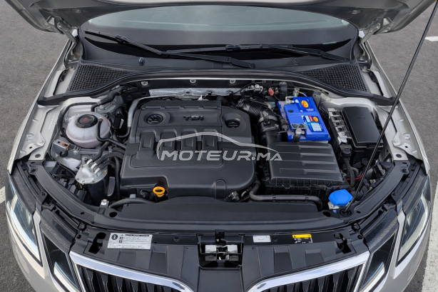 سكودا وكتافيا édition spécial 2.0 tdi dsg 143 cv مستعملة 3498712