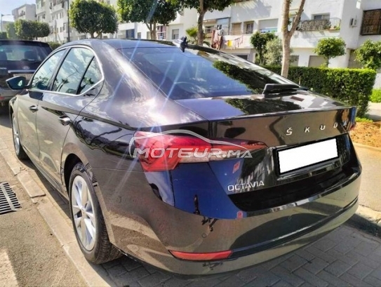 سكودا وكتافيا مستعملة 3336562