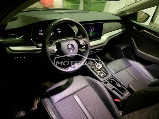 سكودا وكتافيا مستعملة 3002988