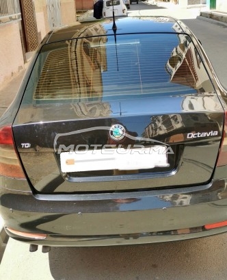 سكودا وكتافيا Tdi مستعملة 2411031