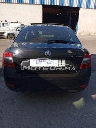 سكودا وكتافيا مستعملة 2933473