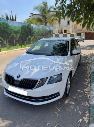 سكودا وكتافيا 2020 مستعملة 2435544