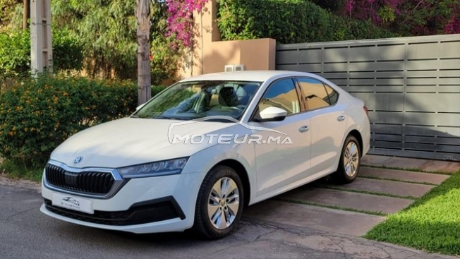 Acheter voiture occasion SKODA Octavia au Maroc - 489654