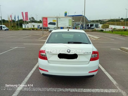 سكودا وكتافيا مستعملة 2993985