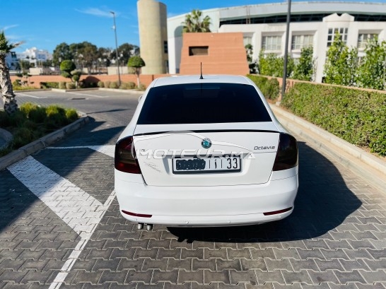 سكودا وكتافيا Tdi مستعملة 1840532