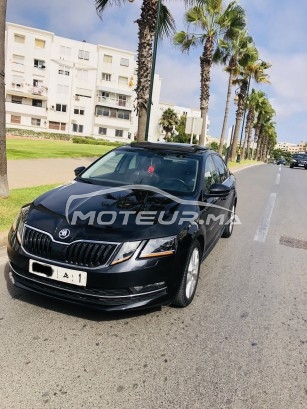 سكودا وكتافيا Édition spéciale مستعملة 1666714