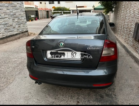 سكودا وكتافيا 2.0 tdi 140 مستعملة 1725599