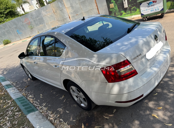 سكودا وكتافيا 2020 مستعملة 2435543