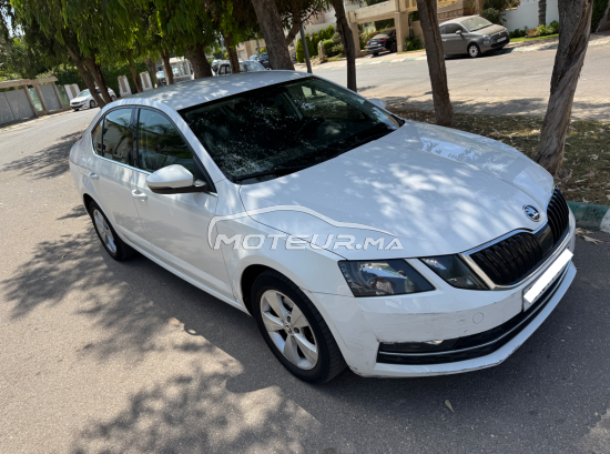 سكودا وكتافيا 2020 مستعملة 2435541