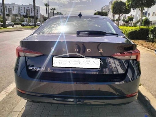 سكودا وكتافيا مستعملة 3336563