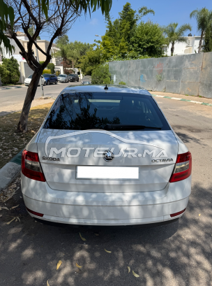 سكودا وكتافيا 2020 مستعملة 2435542