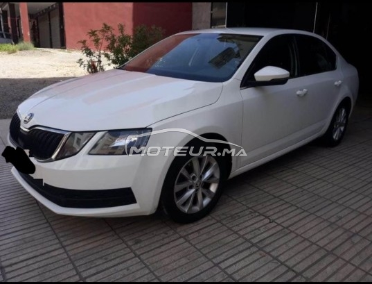 سكودا وكتافيا مستعملة 1865641