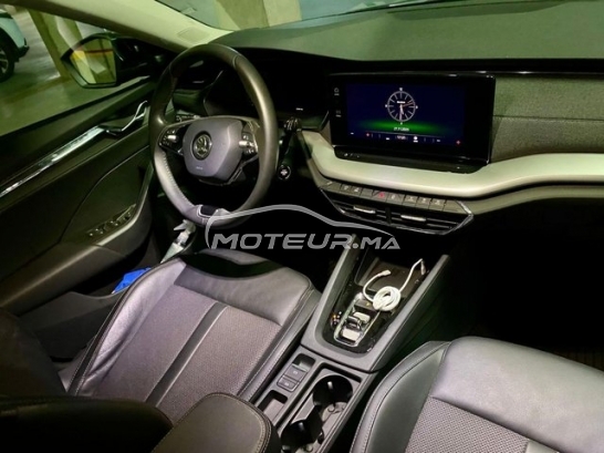 سكودا وكتافيا مستعملة 3002989