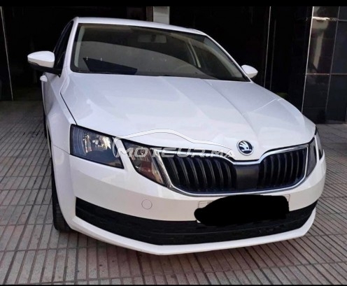 سكودا وكتافيا مستعملة 1865635