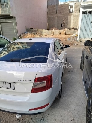 سكودا وكتافيا 2.0 مستعملة 1949628