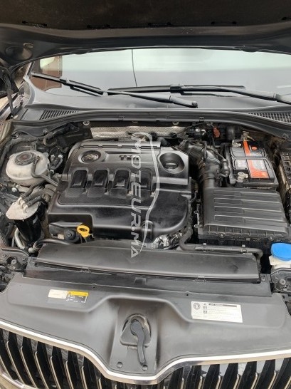 SKODA Superb Superb occasion 1831143