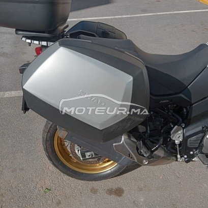سوزوكي اوتري Suzkui v-strom 650 xt مستعملة 1793933