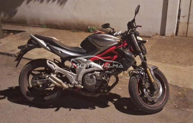 SUZUKI Gladius 2010 occasion  2280170